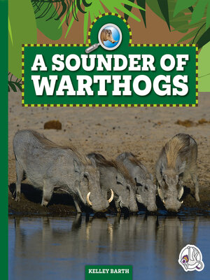 cover image of A Sounder of Warthogs